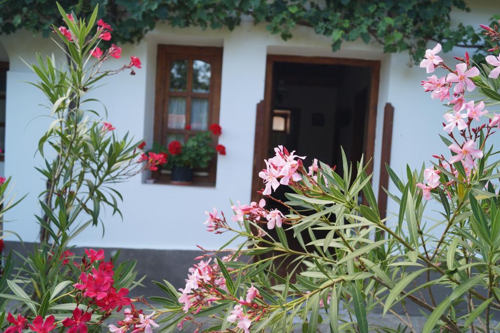 Cseresznyes Vendeghaz Szomolya Exterior foto