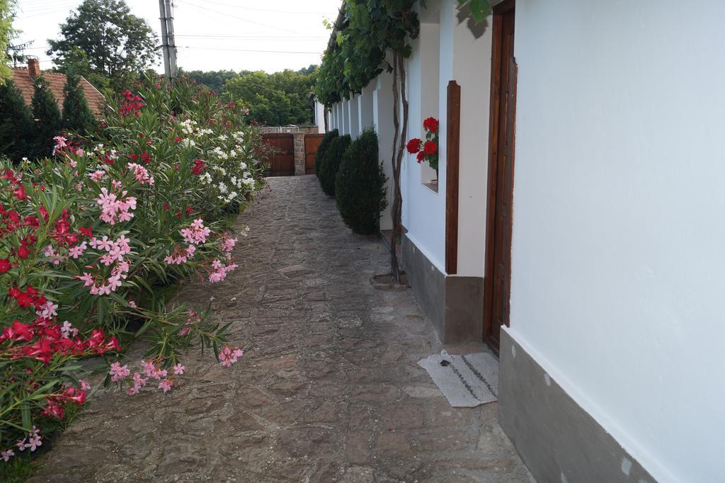 Cseresznyes Vendeghaz Szomolya Exterior foto